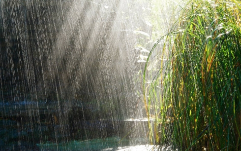 Rain