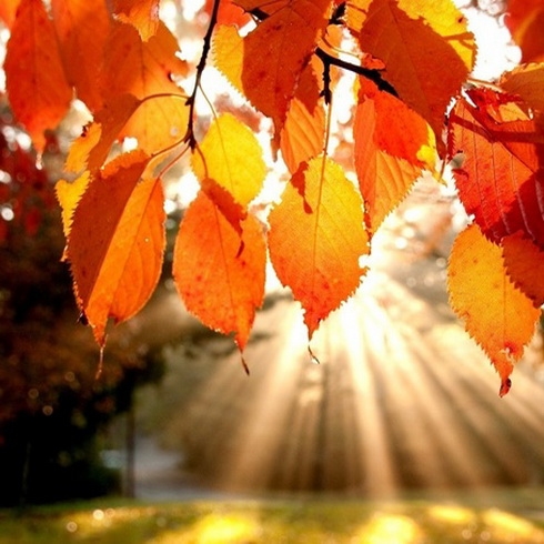 The Last Days Of Summer