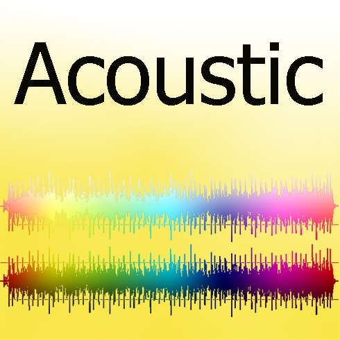 Acoustic Guitar