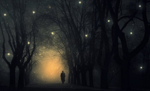 Night Wanderer