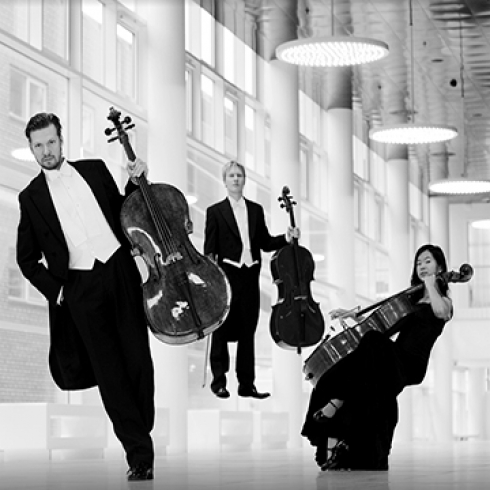 Orchestra Playing