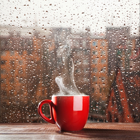 Rainy Morning