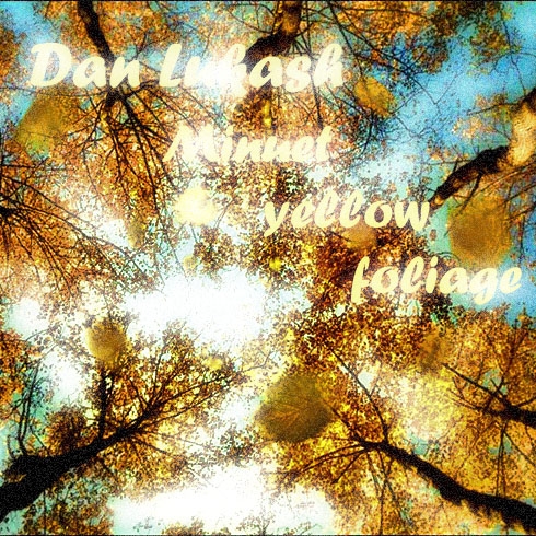 Minuet yellow foliage. Loop.