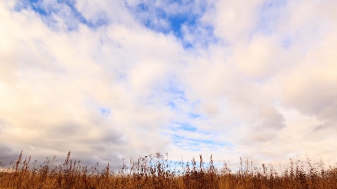 Clouds over dry grass. Time Lapse