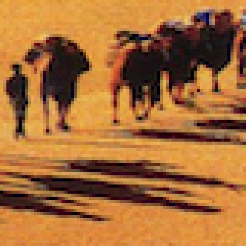 Migratory