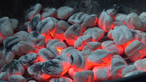 Charcoal on fire