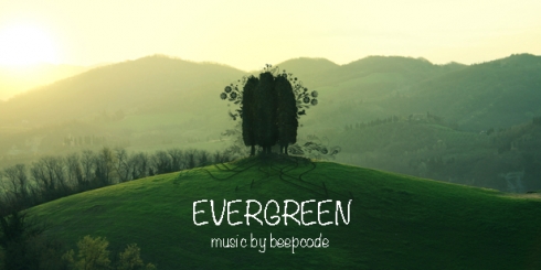 Evergreen